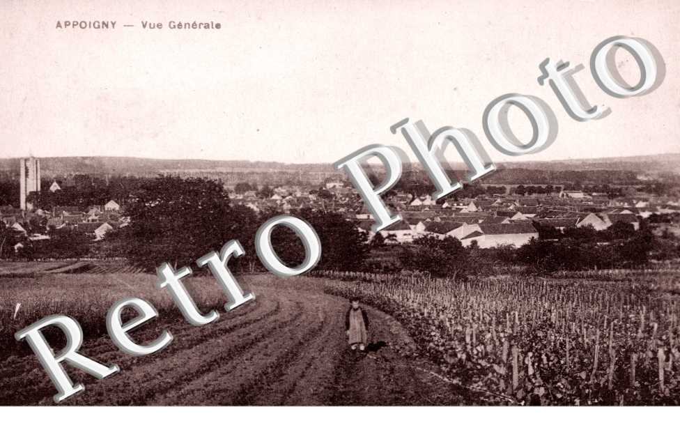 Vue Generale