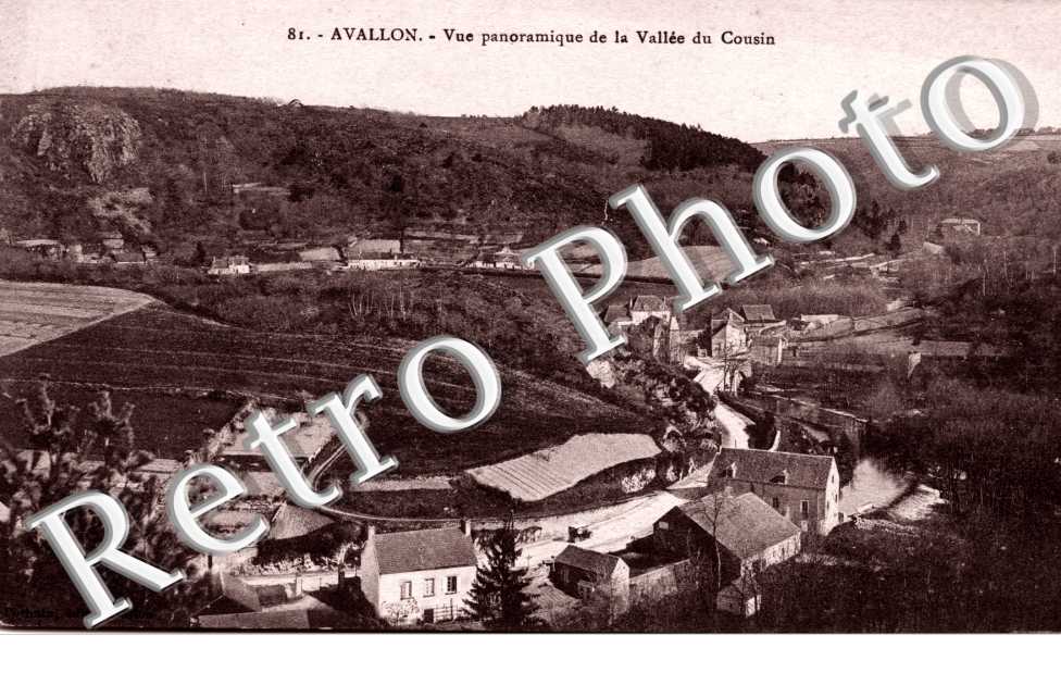 La vallee du Cousin