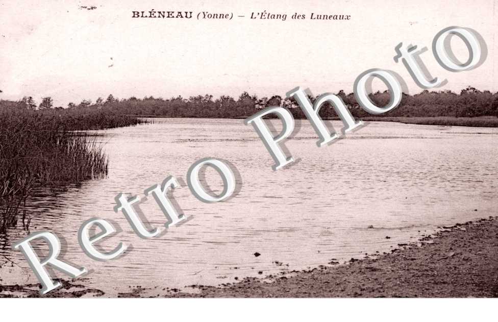 l'Etang des Luneaux