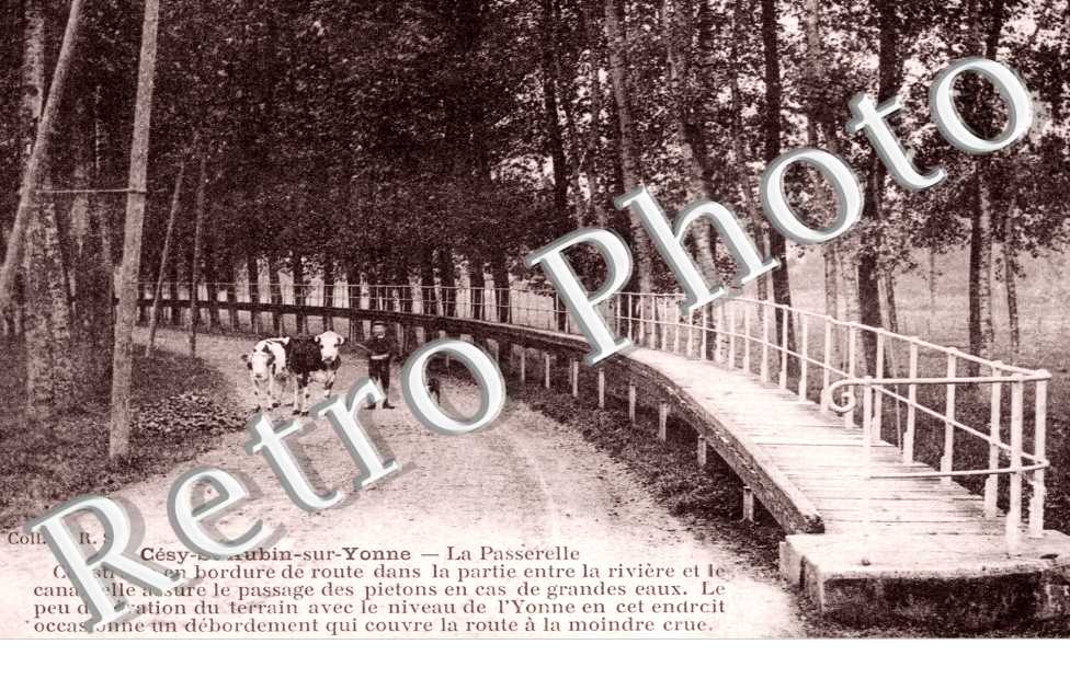 Cesy-Saint-Aubin-sur-Yonne, la Passerelle