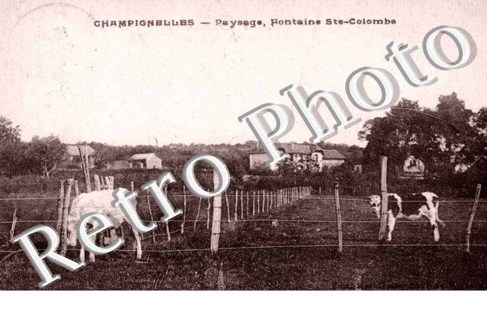 Paysage, Fontaine de Sainte-Colombe