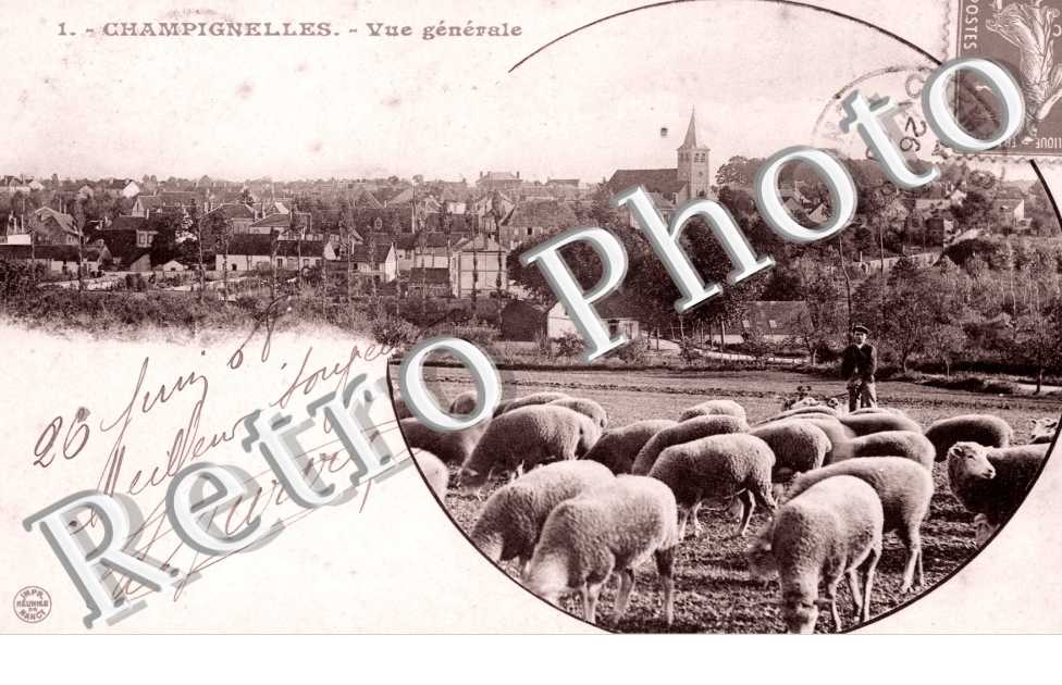 Vue Generale