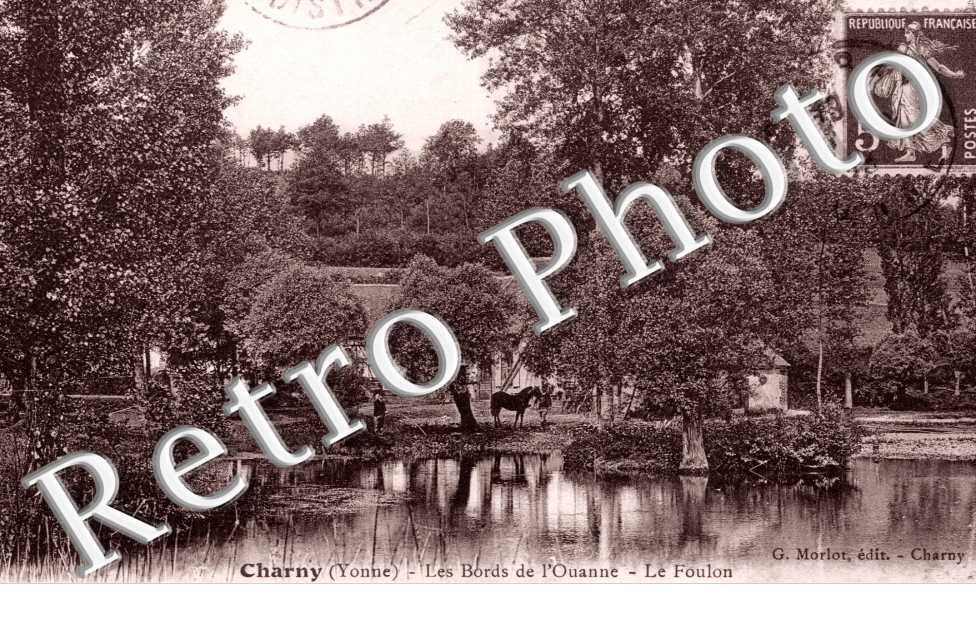 Les Bords de l'Ouanne - Le Foulon