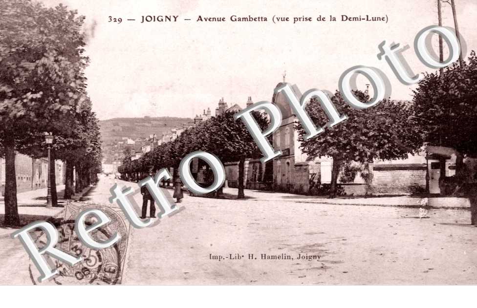 Avenue Gambetta, Vue prise de la Demi-Lune