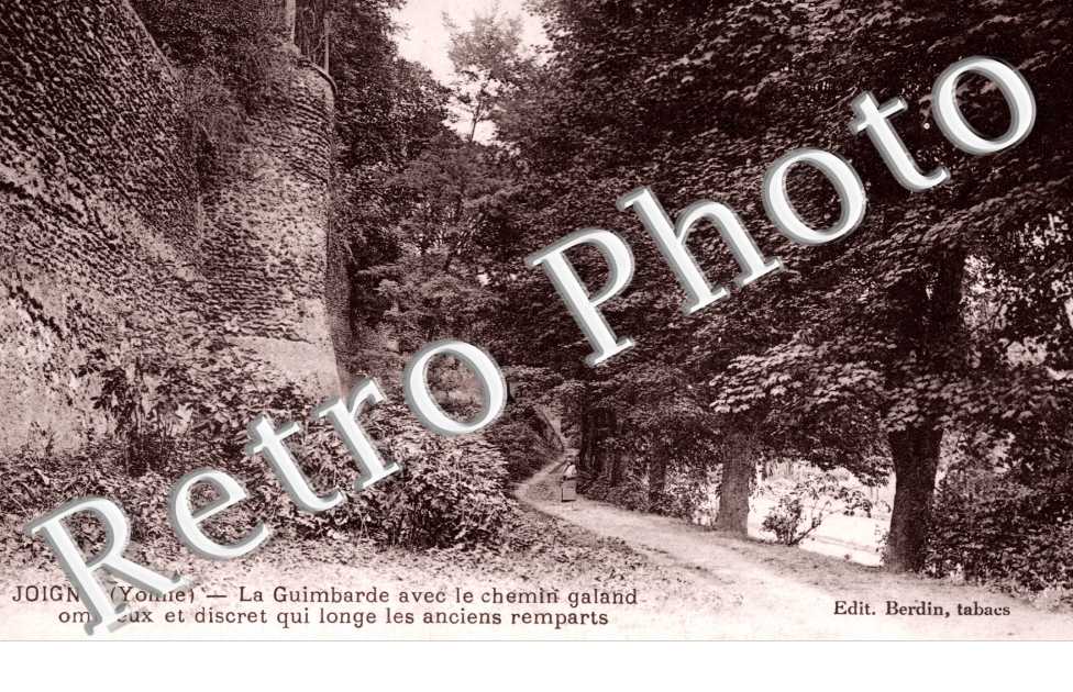 la guimbarde avec le chemin galand