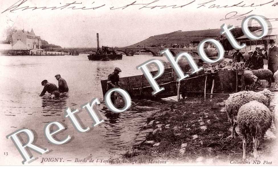 Bords de l'Yonne, le Lavage des moutons