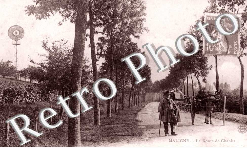 Route de Chablis