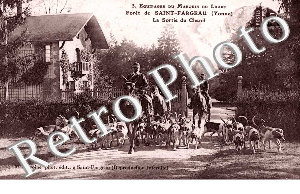 Equipage du Marquis du Luart - la sortie du chenil - foret de Saint Fargeau