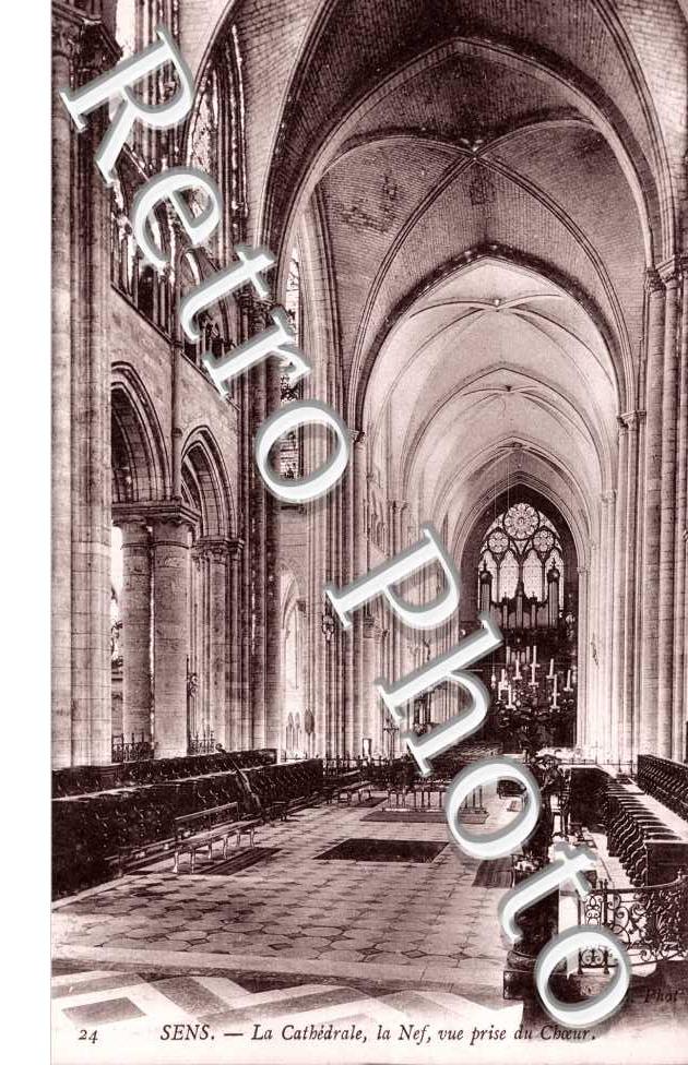 la Cathedrale - la Nef