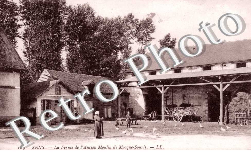 La Ferme de l'Ancien Moulin de Mocque-Souris
