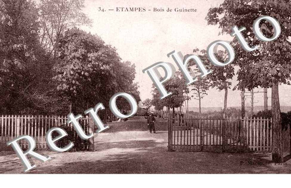 Bois de Guinette