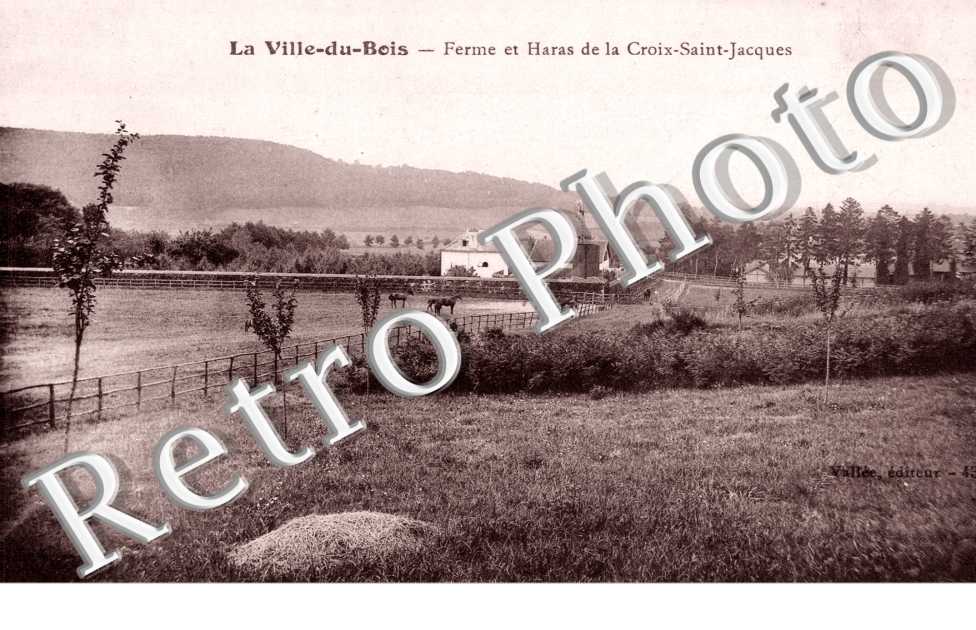 Ferme et Haras de la Croix Saint Jacques
