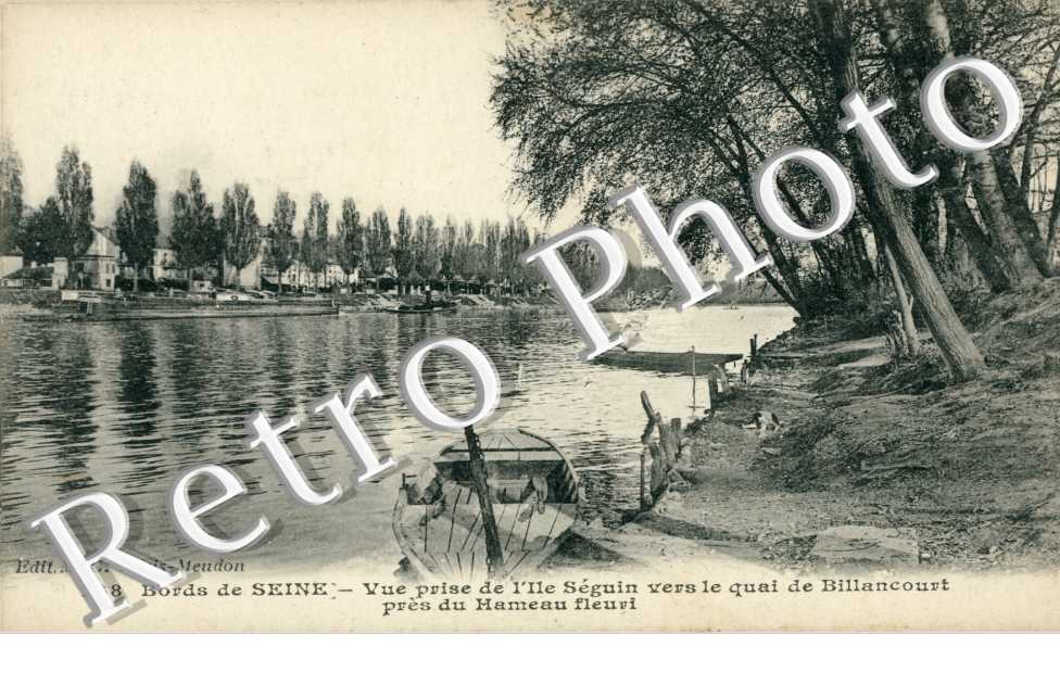 Vue prise de l'Ile Seguin