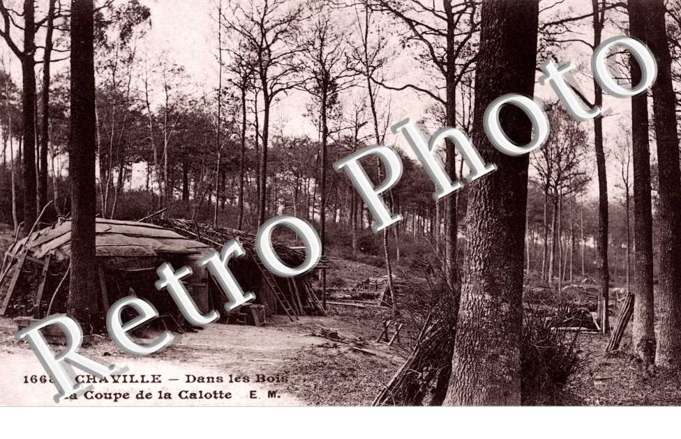 La coupe de la calotte
