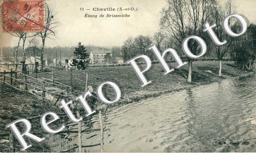 etang de Brisemiche