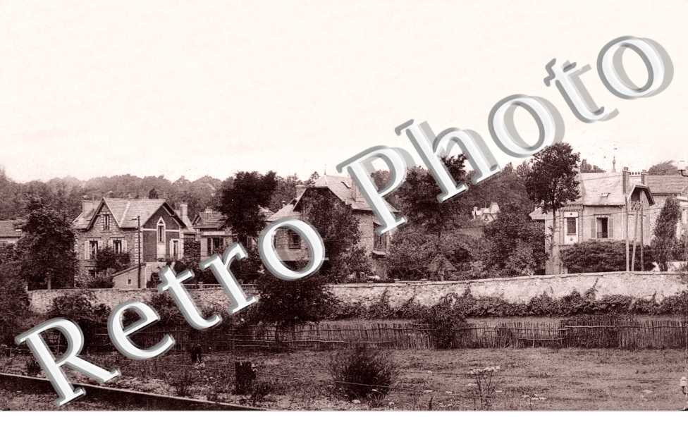 panorama