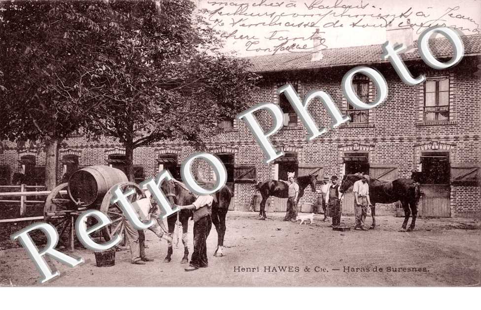 Henri Hawes et Cie, Haras