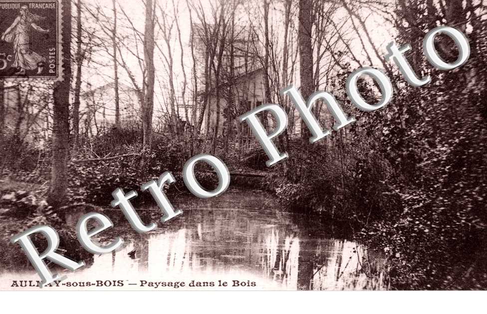 Paysage dans le Bois