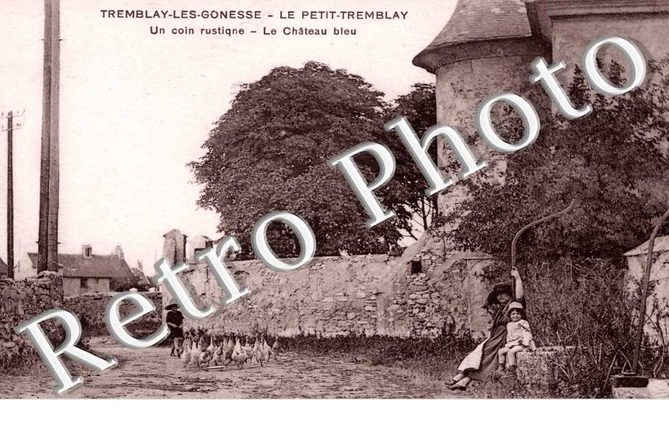 LE PETIT TREMBLAY - Le Chateau bleu