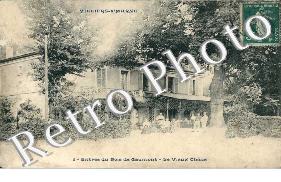 Bois de Gaumont, Le Vieux Chene
