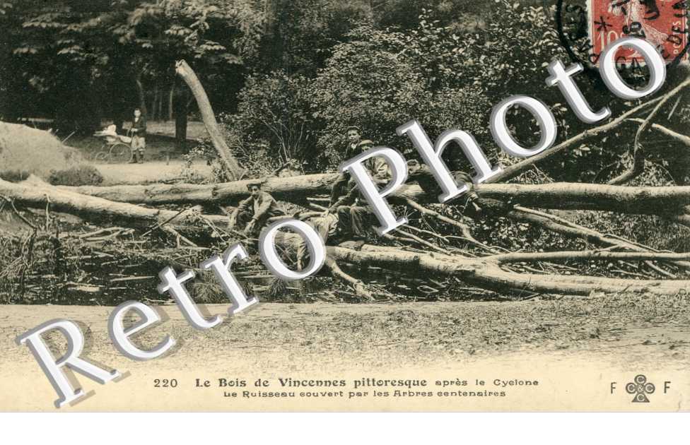 Le Bois de Vincennes apres le Cyclone
