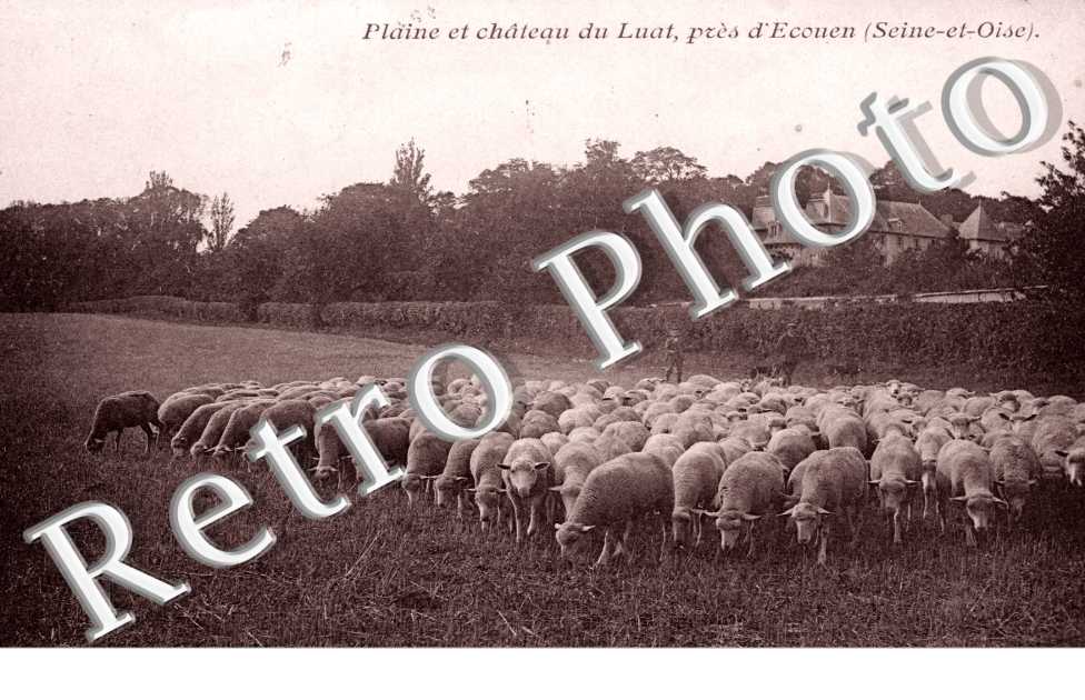 Plaine et Chateau du Luat