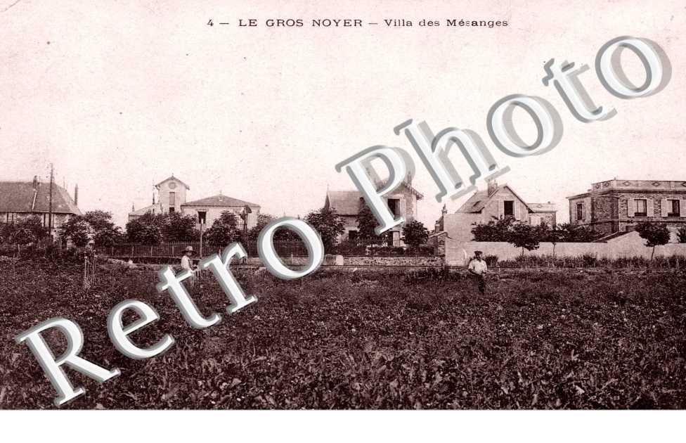 Le Gros Noyer, Villa des Mesanges