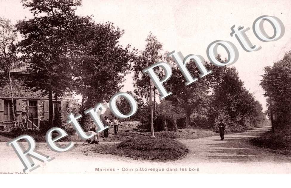 Coin pittoresque dans les bois