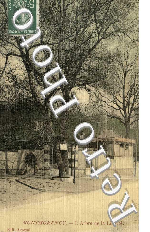 l&#039;arbre de la Liberte