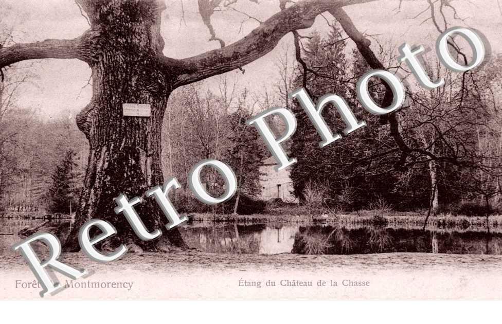 Etang du Chateau de la Chasse