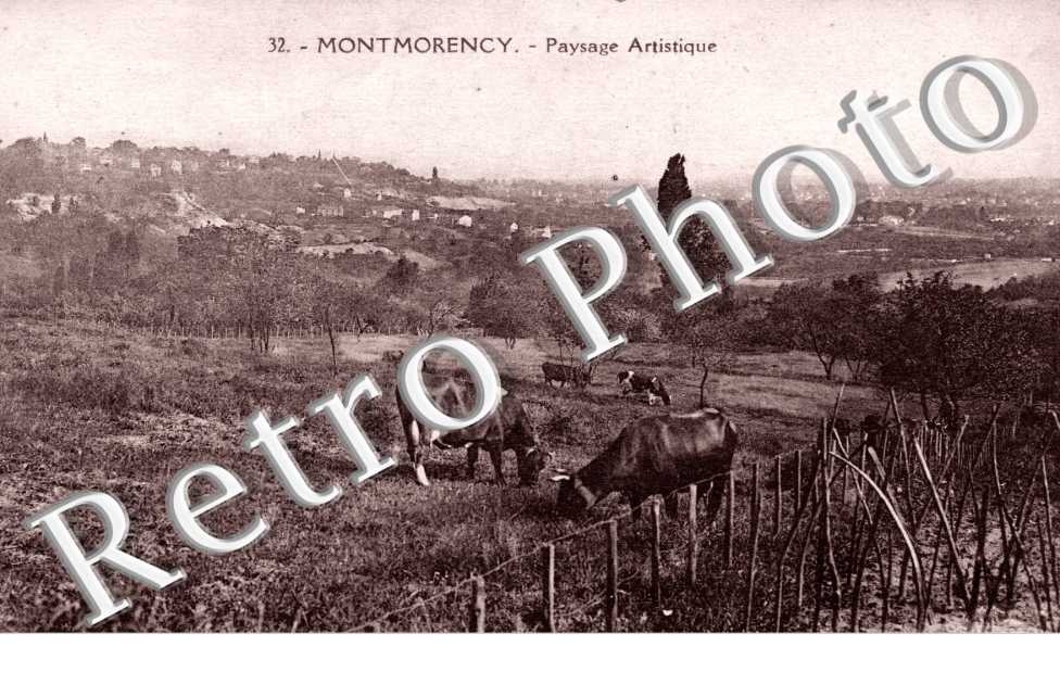 paysage Artistique