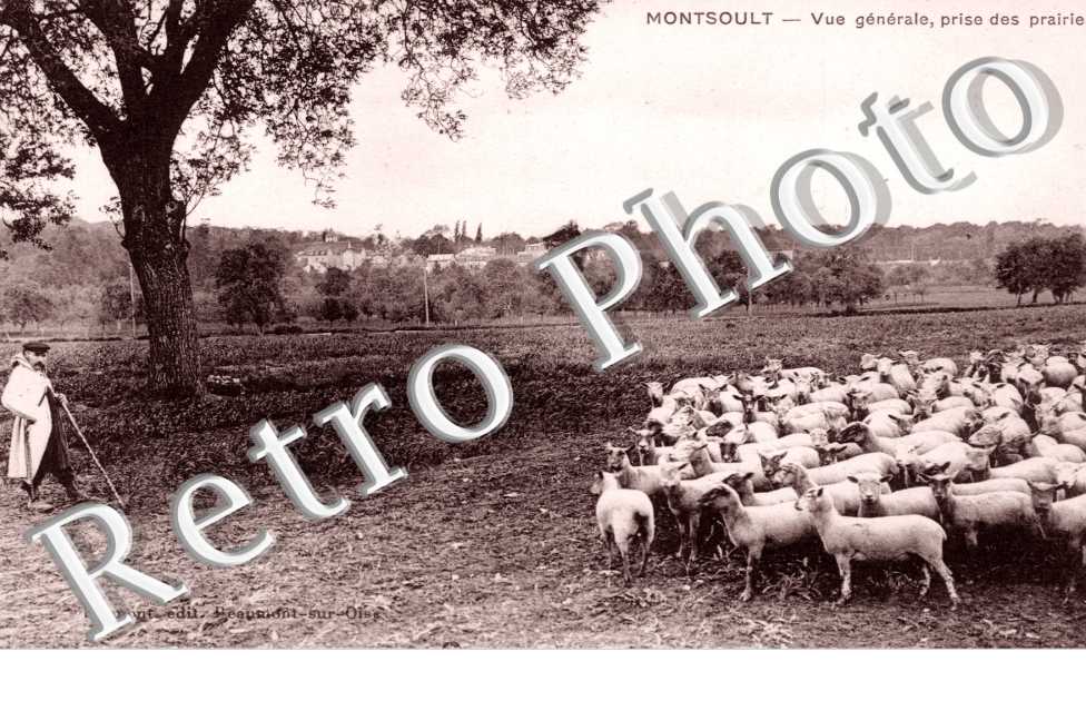 Vue generale prise des prairies