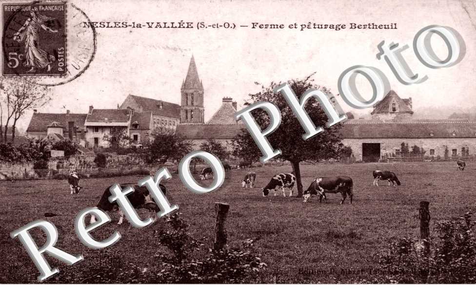 La Ferme et Paturage Bertheuil
