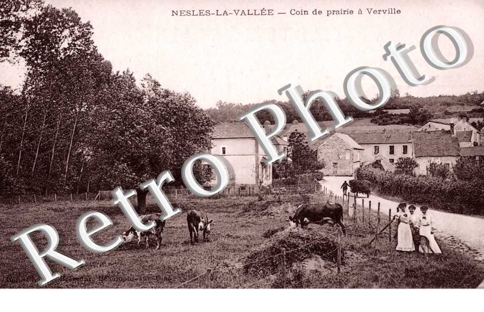 Coin de prairie a Verville