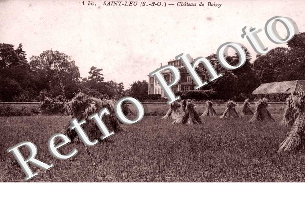 Chateau de Boissy