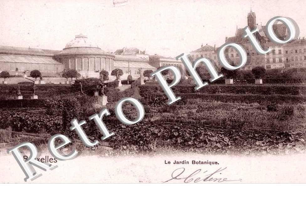 le jardin botanique