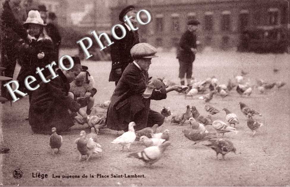 Les pigeons de la Place Saint Lambert