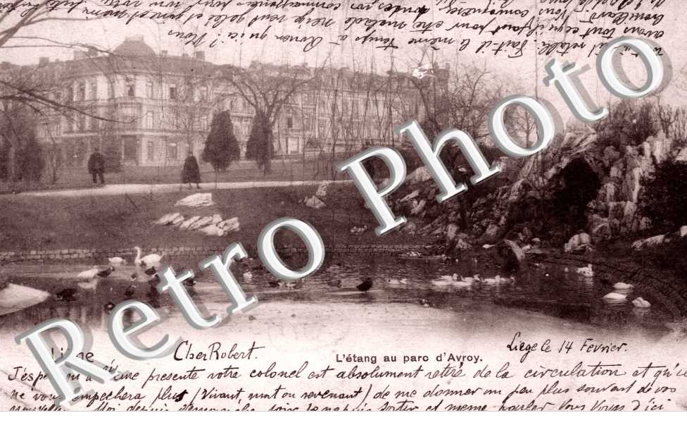 l&#039;etang au Parc d&#039;Avroy