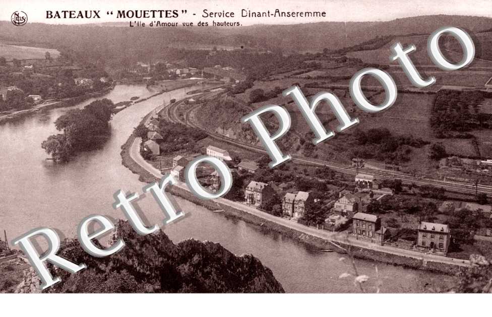 Bateaux Mouettes, Service Dinant Anseremme