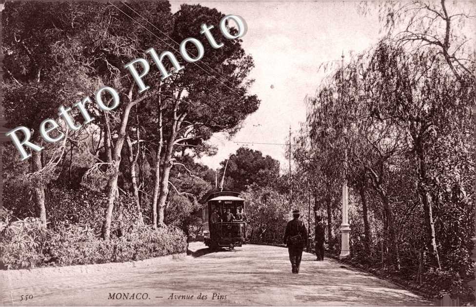 Avenue des Pins