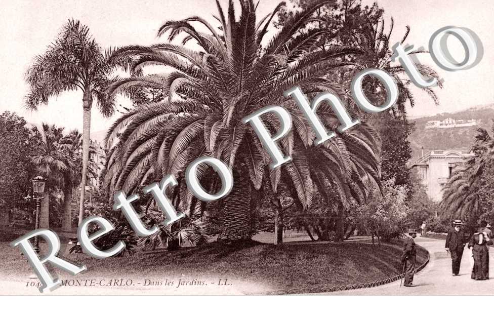Dans les Jardins
