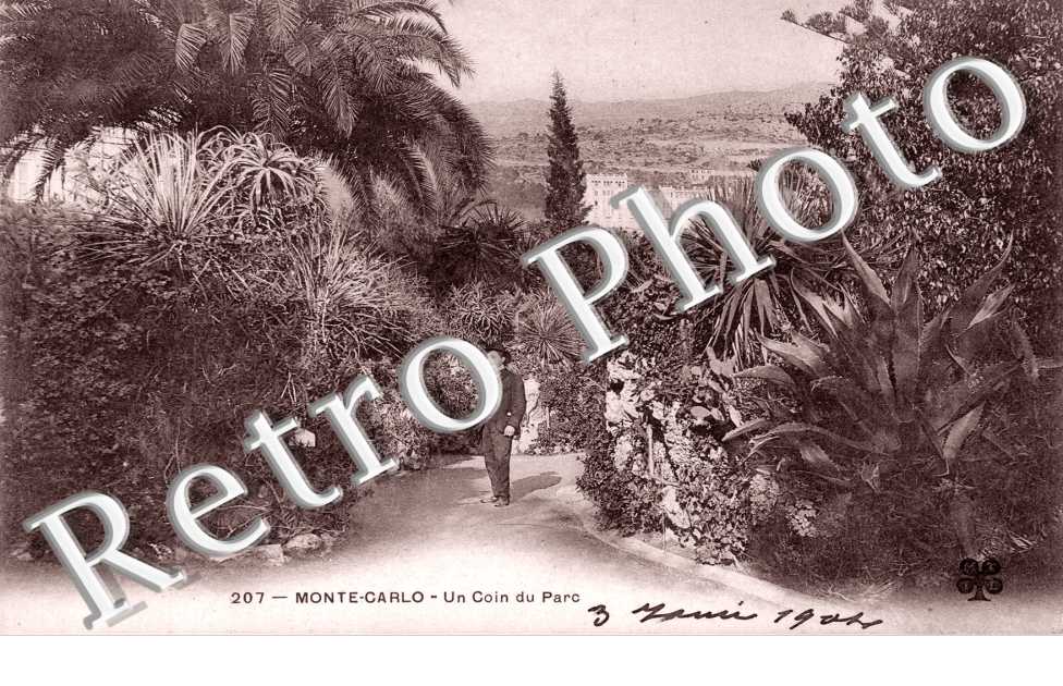 Un coin du Parc