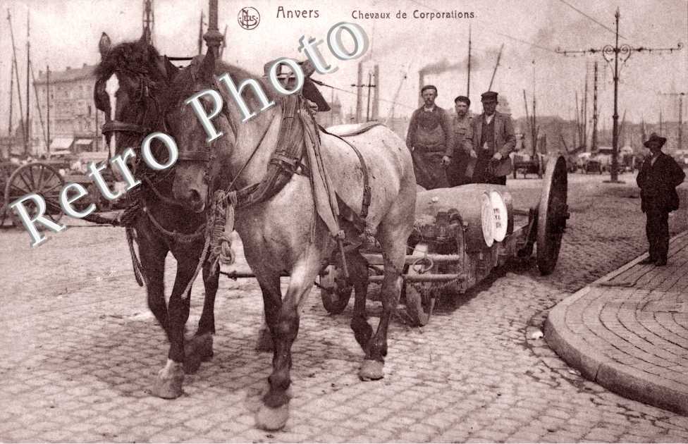 Chevaux de Corporations