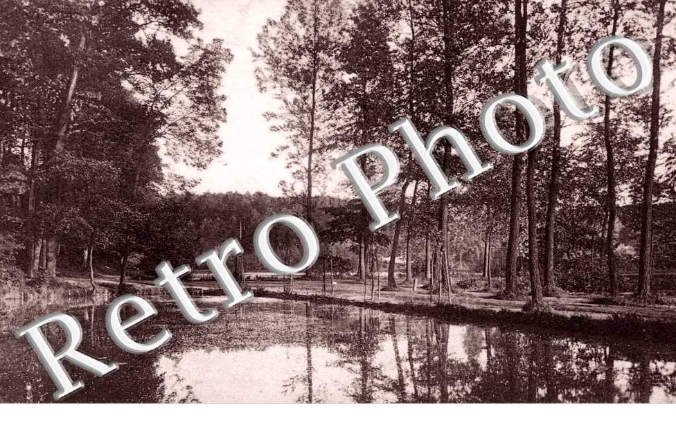 Vue des Etangs dans la Foret