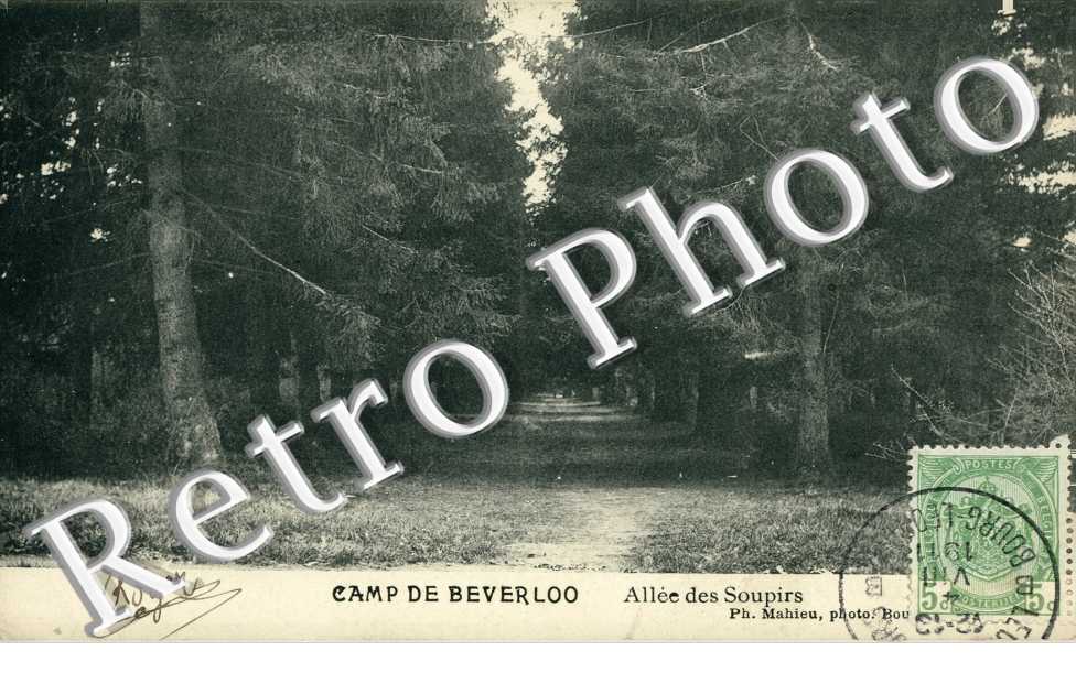 Camp - allee des soupirs