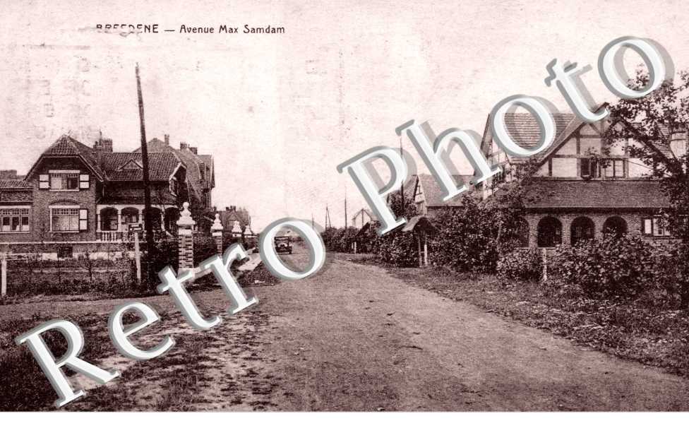 Avenue Max samdam