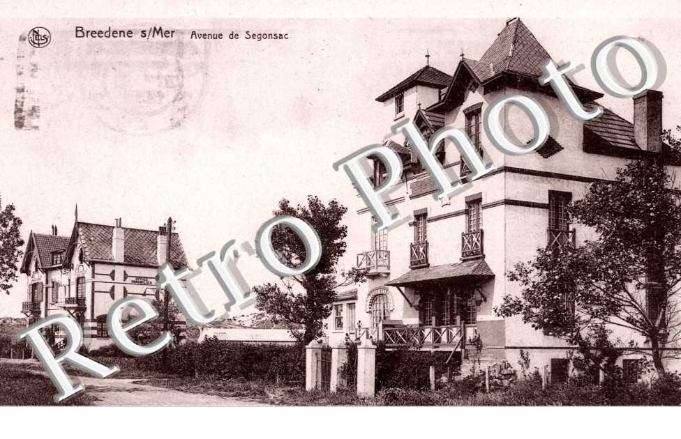 Avenue de Segonsac
