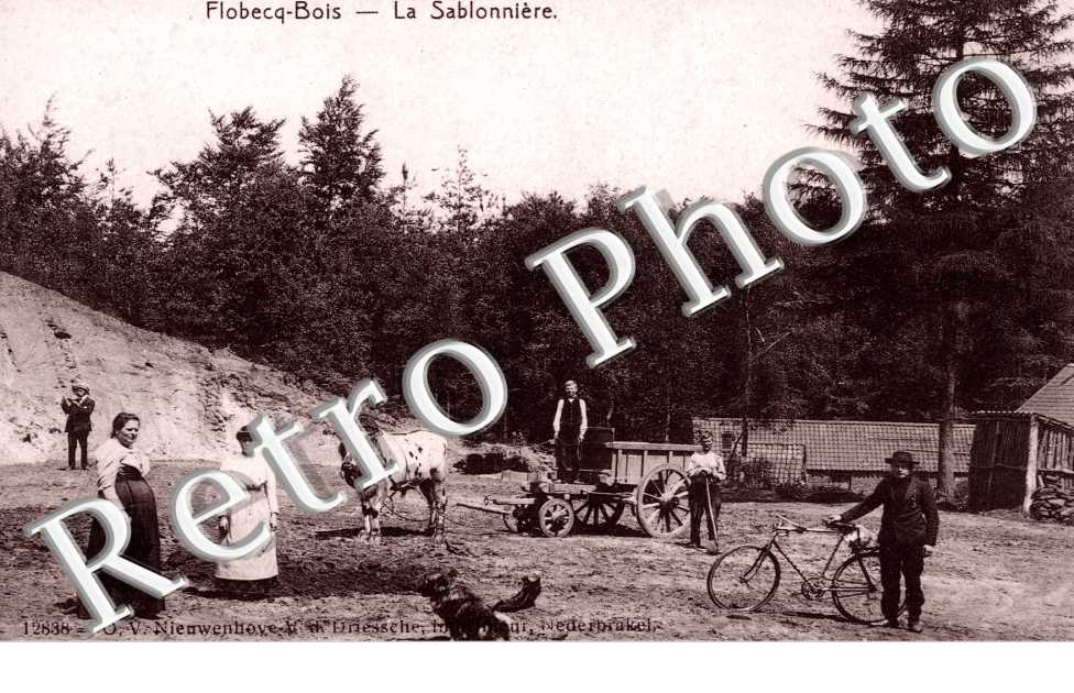 Flobecq-Bois, la Sablonniere