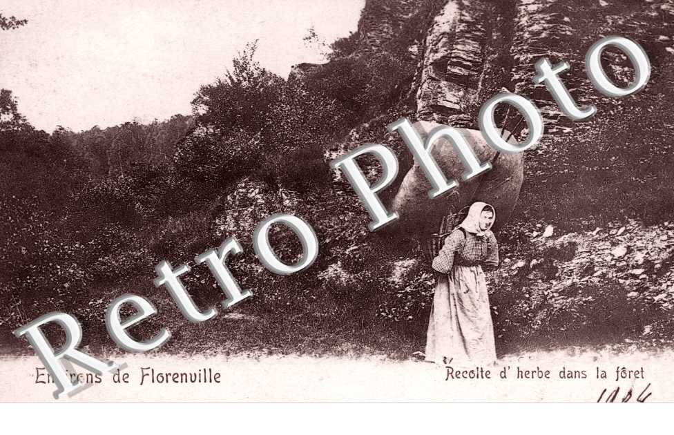 Recolte d&#039;herbe dans la Foret