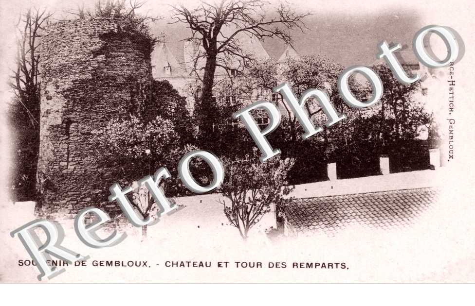 chateau et tour des remparts